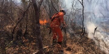 Após 21 dias de combate, bombeiros extinguem incêndio em Pilão Arcado