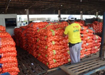 Publicado no Diário Oficial aviso da audiência pública do Projeto de Concessão da Ceasa