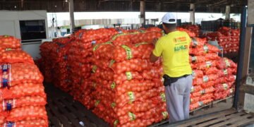 Publicado no Diário Oficial aviso da audiência pública do Projeto de Concessão da Ceasa