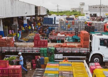 Adiada audiência pública do Projeto de Concessão da Ceasa