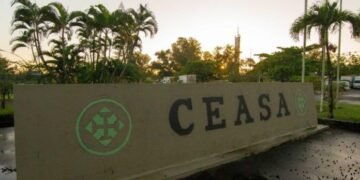 SDE apresenta plano de ação para prevenir e coibir o trabalho infantil na Ceasa