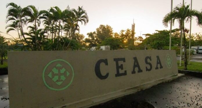 SDE apresenta plano de ação para prevenir e coibir o trabalho infantil na Ceasa