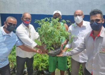 Deputado Bira Corôa entrega manivas de mandioca para agricultores familiares de Acajutiba