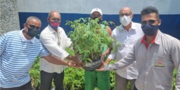 Deputado Bira Corôa entrega manivas de mandioca para agricultores familiares de Acajutiba