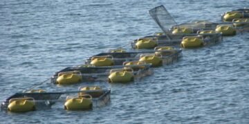 Pescadores da RMS participam de curso de tecnologia de pesca