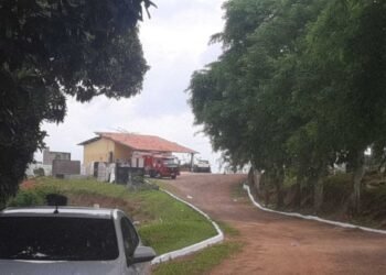 Cemitério é fechado em Ilhéus por conta de enxame de abelhas