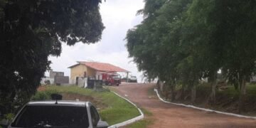 Cemitério é fechado em Ilhéus por conta de enxame de abelhas