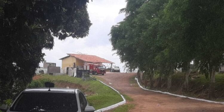 Cemitério é fechado em Ilhéus por conta de enxame de abelhas