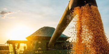 Safra de grãos estima crescimento de 3,9% em relação a 2020, já indústria baiana cresce 2,7% em outubro