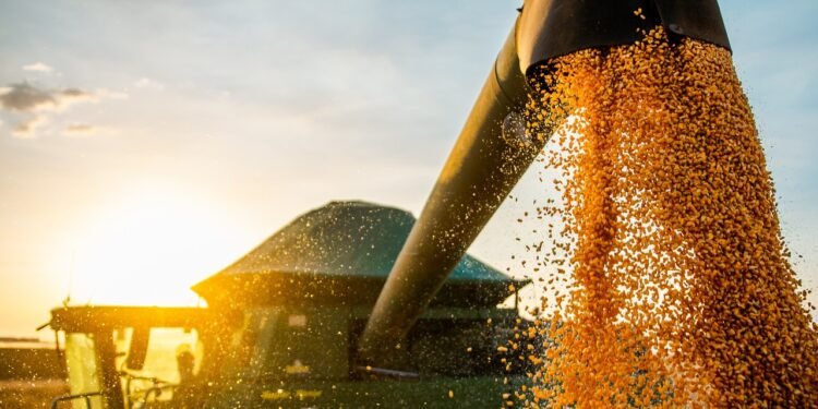 Safra de grãos estima crescimento de 3,9% em relação a 2020, já indústria baiana cresce 2,7% em outubro