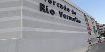 Ceasa e Mercados do Estado adotam novo horário de funcionamento no período de fim de ano