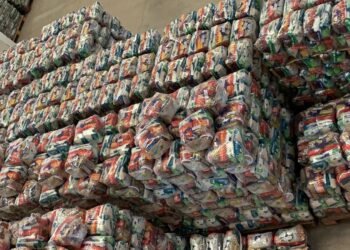 Hapvida doa mais de 1.700 cestas básicas para famílias vítimas das enchentes na Bahia