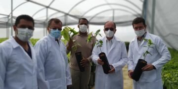 ‘Bahia vai ter novas fronteiras de cacauicultura’, diz João Leão