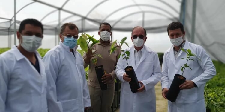‘Bahia vai ter novas fronteiras de cacauicultura’, diz João Leão