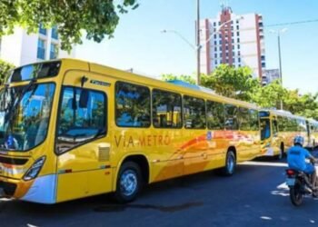 Ação deve garantir passe livre para idosos em Ilhéus