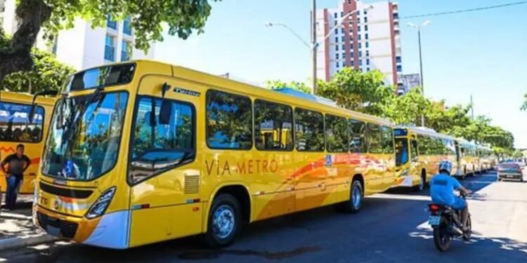 Ação deve garantir passe livre para idosos em Ilhéus