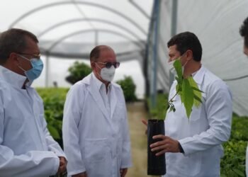 ‘Cacauicultura começa a ganhar espaço no Oeste baiano’, diz Leão