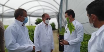 ‘Cacauicultura começa a ganhar espaço no Oeste baiano’, diz Leão