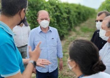 ‘Ceplac e Ufob serão parceiras do governo do estado para ampliar a cacauicultura até Barra’, diz Leão