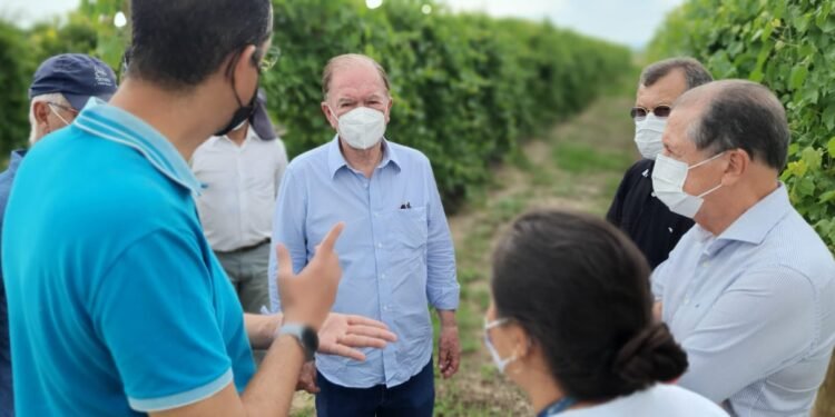 ‘Ceplac e Ufob serão parceiras do governo do estado para ampliar a cacauicultura até Barra’, diz Leão