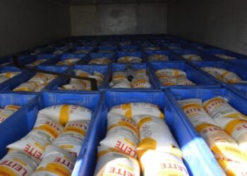 Programa Alimenta Brasil  publica edital com aporte superior aos R$ 6 milhões na modalidade leite