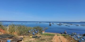 Filé de tilápia a vácuo é aposta de cooperativa em Sobradinho