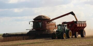 Bahia encerra 2021 com safra de grãos 4,4% superior ao ano anterior