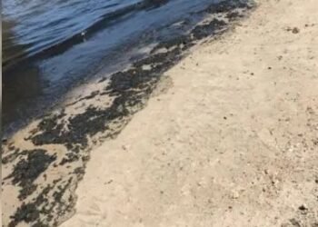 Esgoto aparece em areia e mar das praias de Gamboa e Vera Cruz