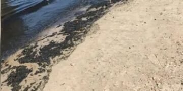 Esgoto aparece em areia e mar das praias de Gamboa e Vera Cruz