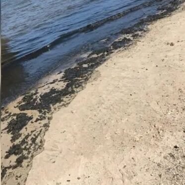 Esgoto aparece em areia e mar das praias de Gamboa e Vera Cruz