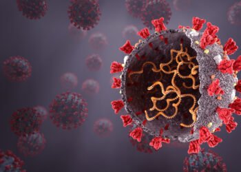 Bahia registra 2.184 casos de H3N2, com 100 óbitos, e 23 de Flurona