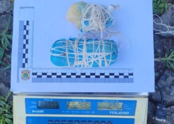 Coppa combate pesca ilegal e apreende meio quilo de explosivos