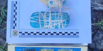 Coppa combate pesca ilegal e apreende meio quilo de explosivos