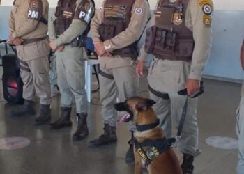 Cães da Rondesp Oeste são utilizados  durante ação social em escola