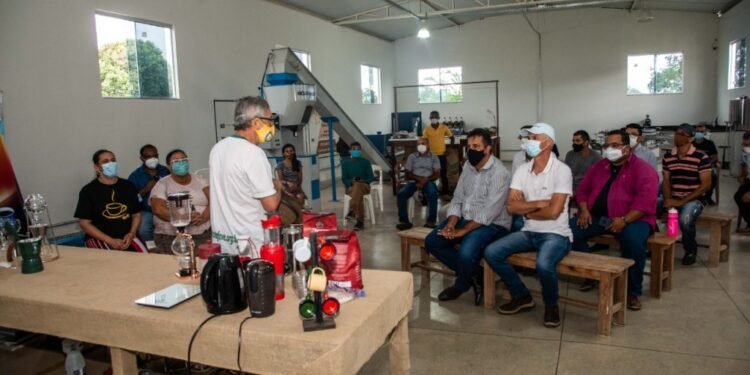 Implantação de Laboratório de Café impulsiona vendas da agricultura familiar no sudoeste
