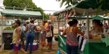 Mulheres associadas iniciam feira da agricultura familiar em Valença