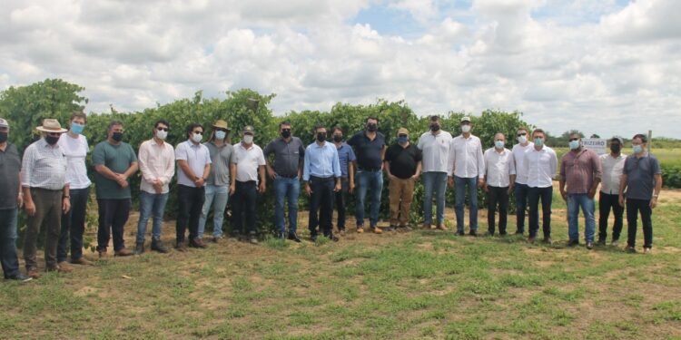 Empresários de cinco grupos investidores conhecem potencial do Polo Agroindustrial do São Francisco