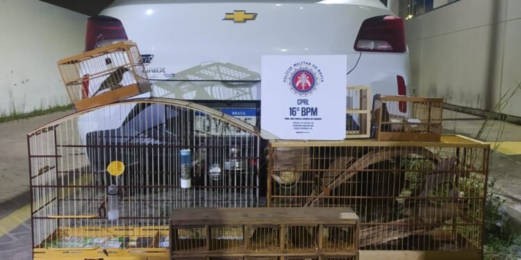 Transporte de aves silvestres é interrompido pelo 16º BPM