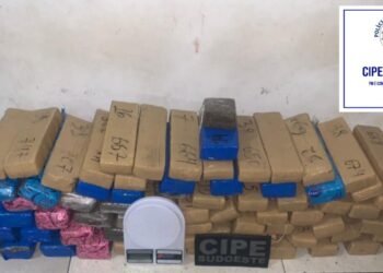 Cerca de 61 kg de maconha encontrados pela Cipe Sudoeste