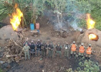 Coppa destrói oito fornos e quatro carvoarias ilegais no interior