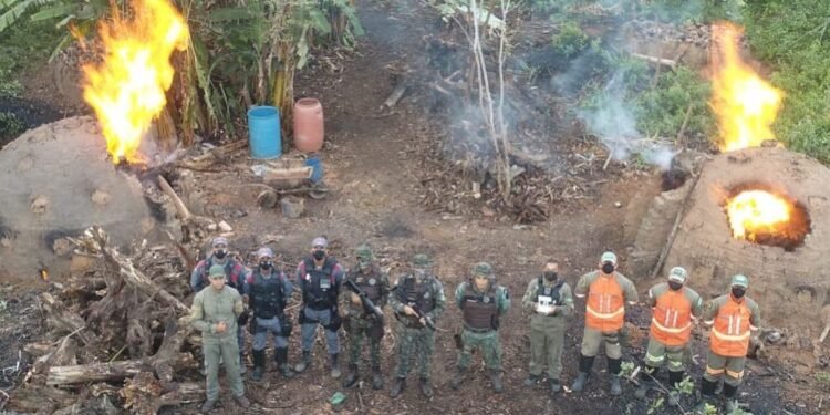 Coppa destrói oito fornos e quatro carvoarias ilegais no interior