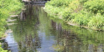 Projeto de recuperação de nascentes apoiado pela ENGIE recebe Selo Aliança Pelas Águas Brasileiras