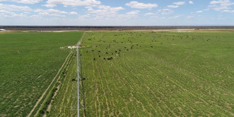 Empresa portuguesa investe em agropecuária no Polo Agroindustrial