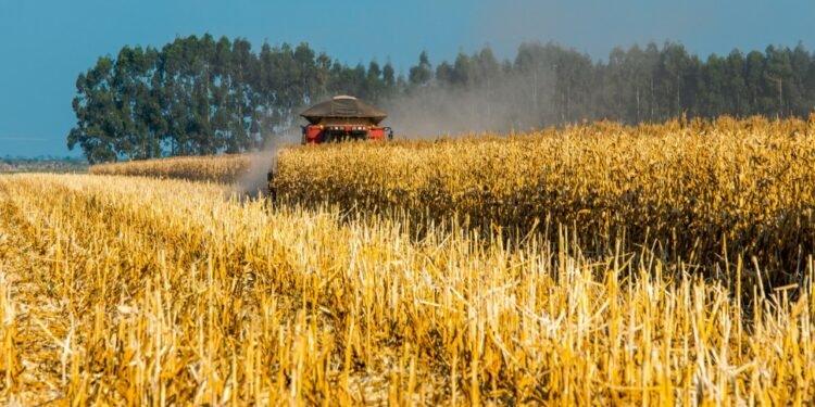 Bahia: PIB cresce 4,1% em 2021 e a safra de grãos pode bater novo recorde em 2022