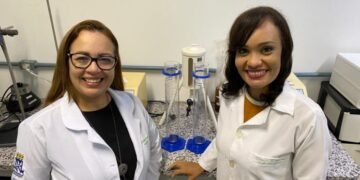 Pesquisadoras da Bahia desenvolvem curativo sustentável a partir de nanopartículas de própolis