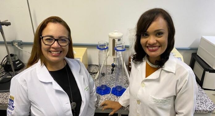 Pesquisadoras da Bahia desenvolvem curativo sustentável a partir de nanopartículas de própolis