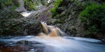 Fapesb e Boticário selecionam propostas para fortalecimento de áreas naturais protegidas