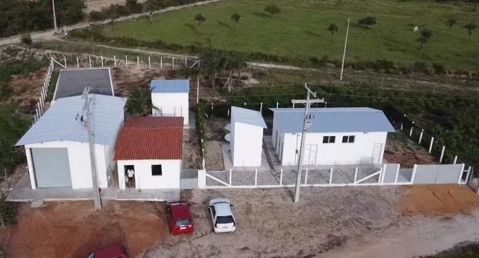 Governo do Estado investe no sistema produtivo do licuri em Monte Santo