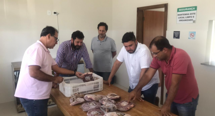 Seagri realiza ações em Remanso para potencializar setor da caprinovinocultura