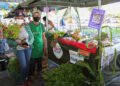 Feira Junina na SJDHDS movimenta e fortalece a agricultura familiar da Bahia